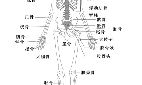 胰腺炎早期肠内营养-胰腺炎肠内营养粉网 - 网站提供胰腺炎补营养液会疼吗为什么小常识、胰腺炎恢复期可以喝肠内营养粉吗