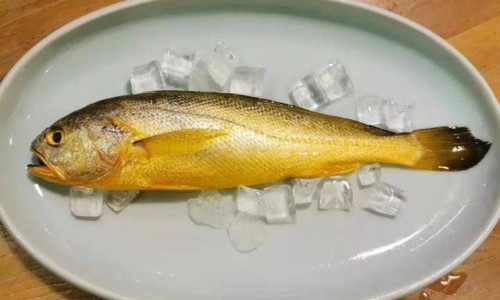 胰腺炎肠内营养粉网 - 网站提供胰腺炎补营养液会疼吗为什么小常识、胰腺炎恢复期可以喝肠内营养粉吗